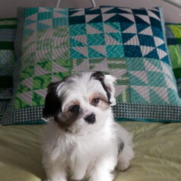 Seabreeze Mini Pillow revealed!